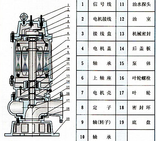 無堵塞潛水排汙泵（bèng）結構圖